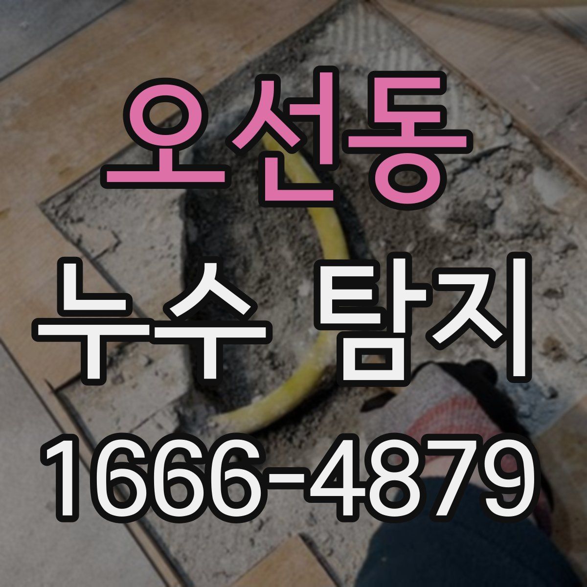 오선동 누수 탐지