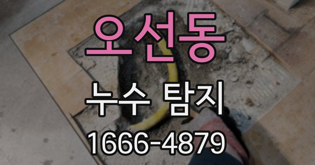 오선동 누수 탐지