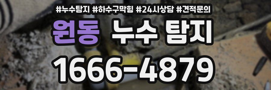 원동 누수 탐지