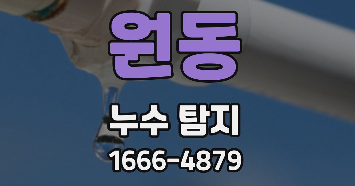 원동 누수 탐지