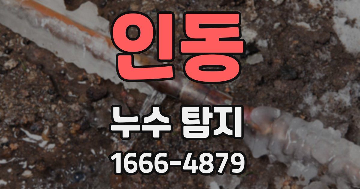 인동 누수 탐지