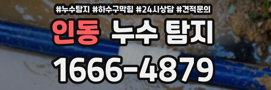 인동 누수 탐지