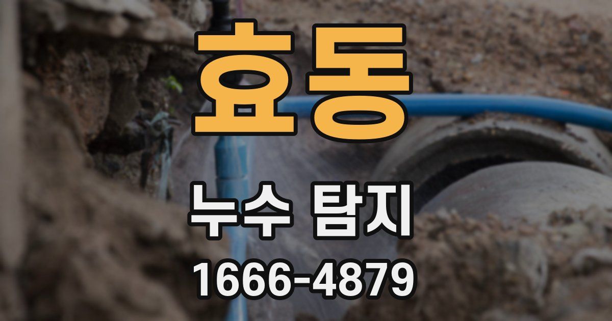 효동 누수 탐지