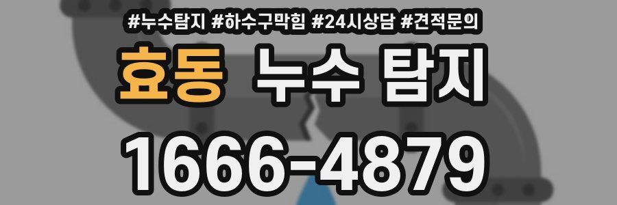 효동 누수 탐지