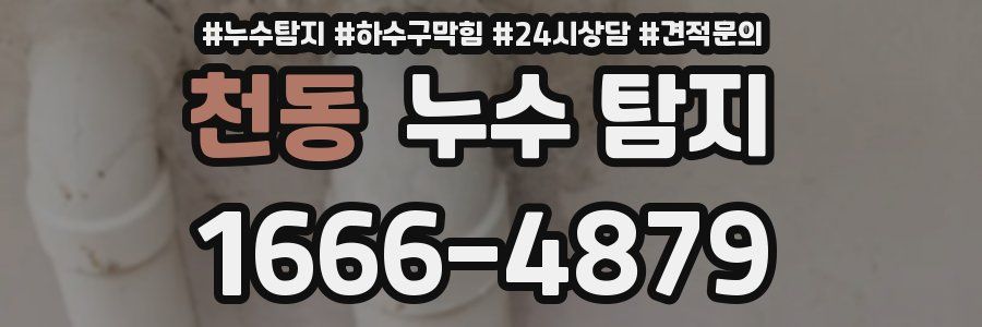 천동 누수 탐지