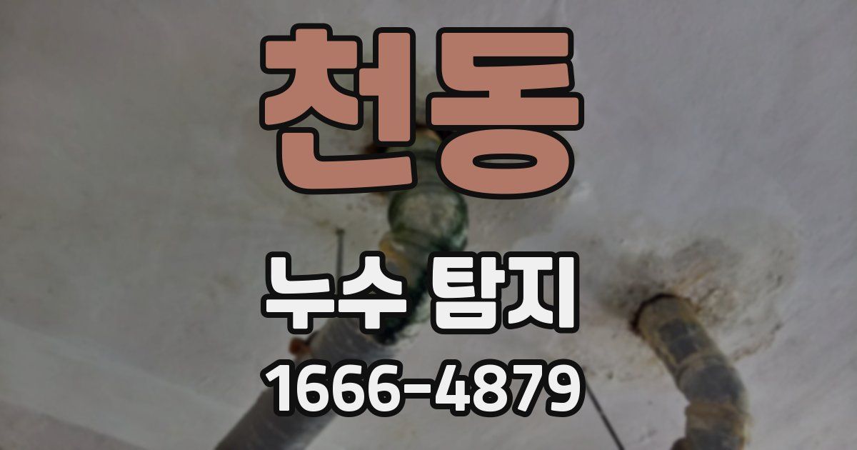천동 누수 탐지