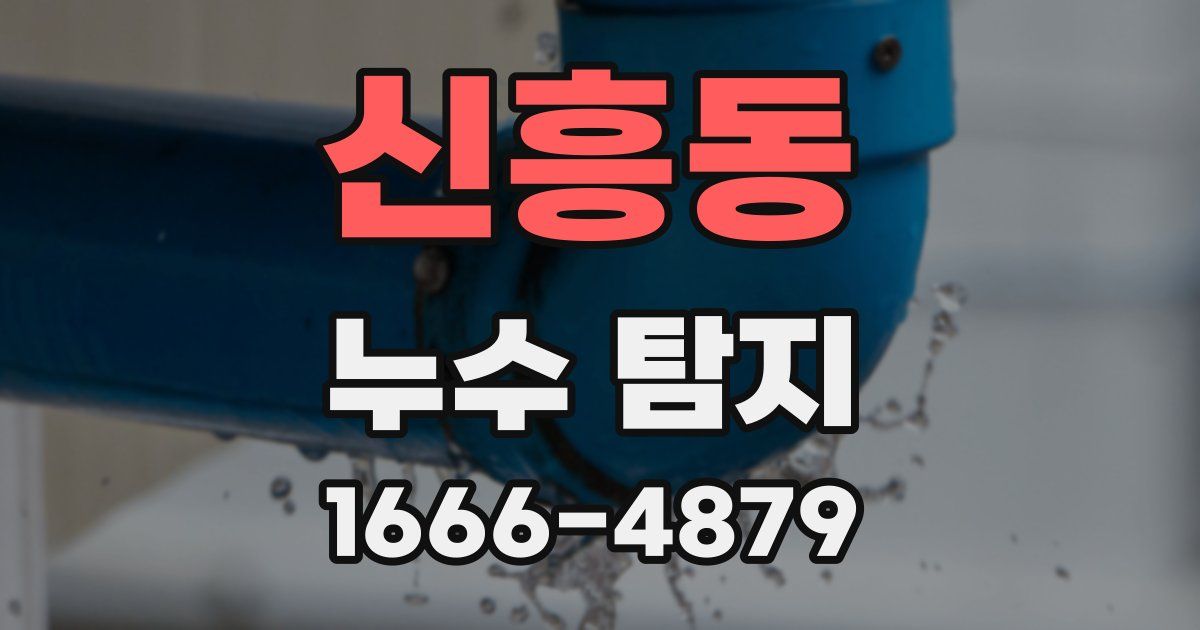 신흥동 누수 탐지