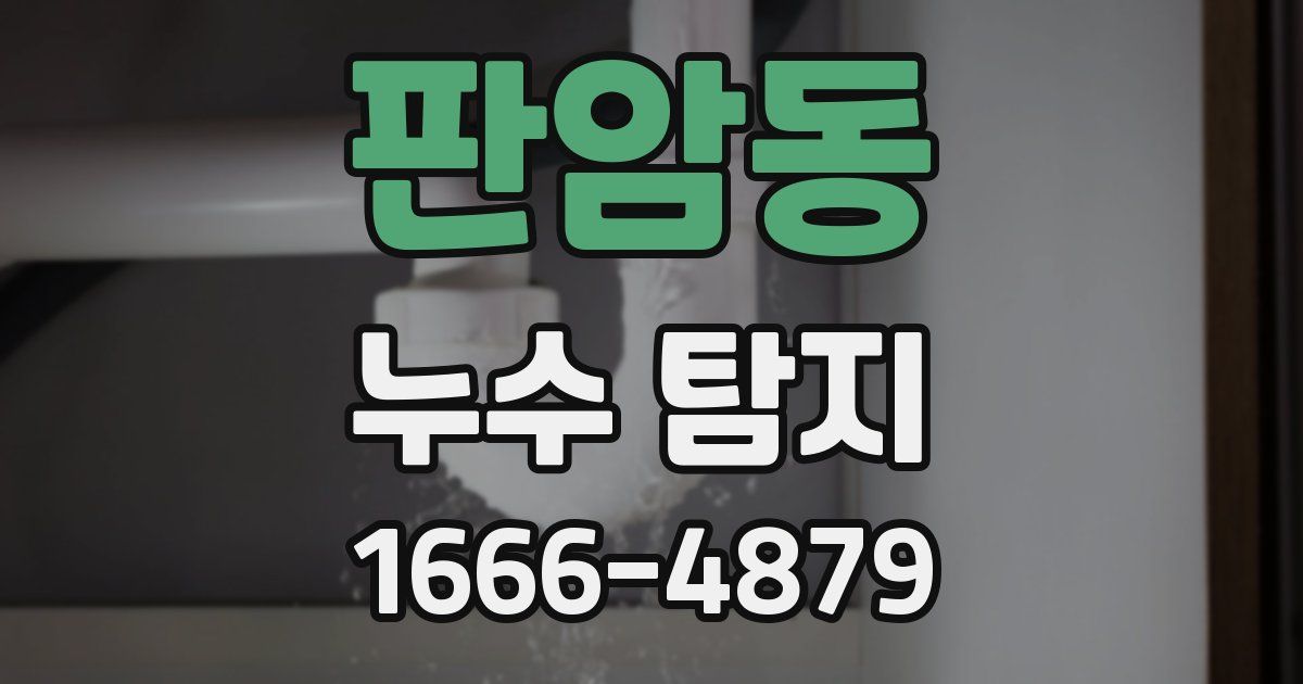 판암동 누수 탐지