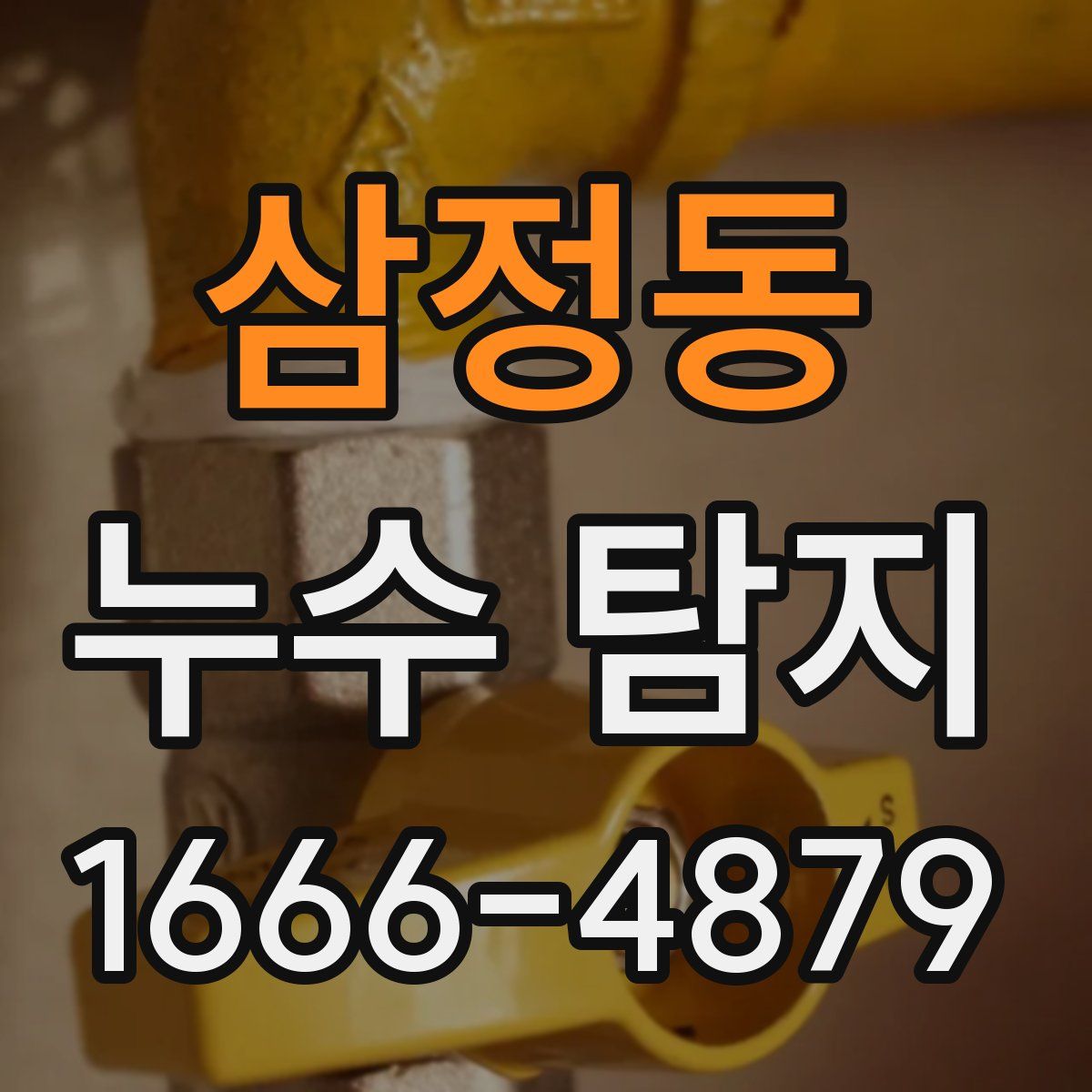 삼정동 누수 탐지