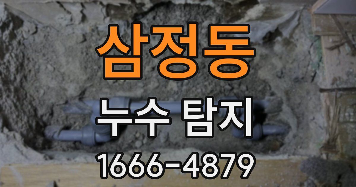 삼정동 누수 탐지