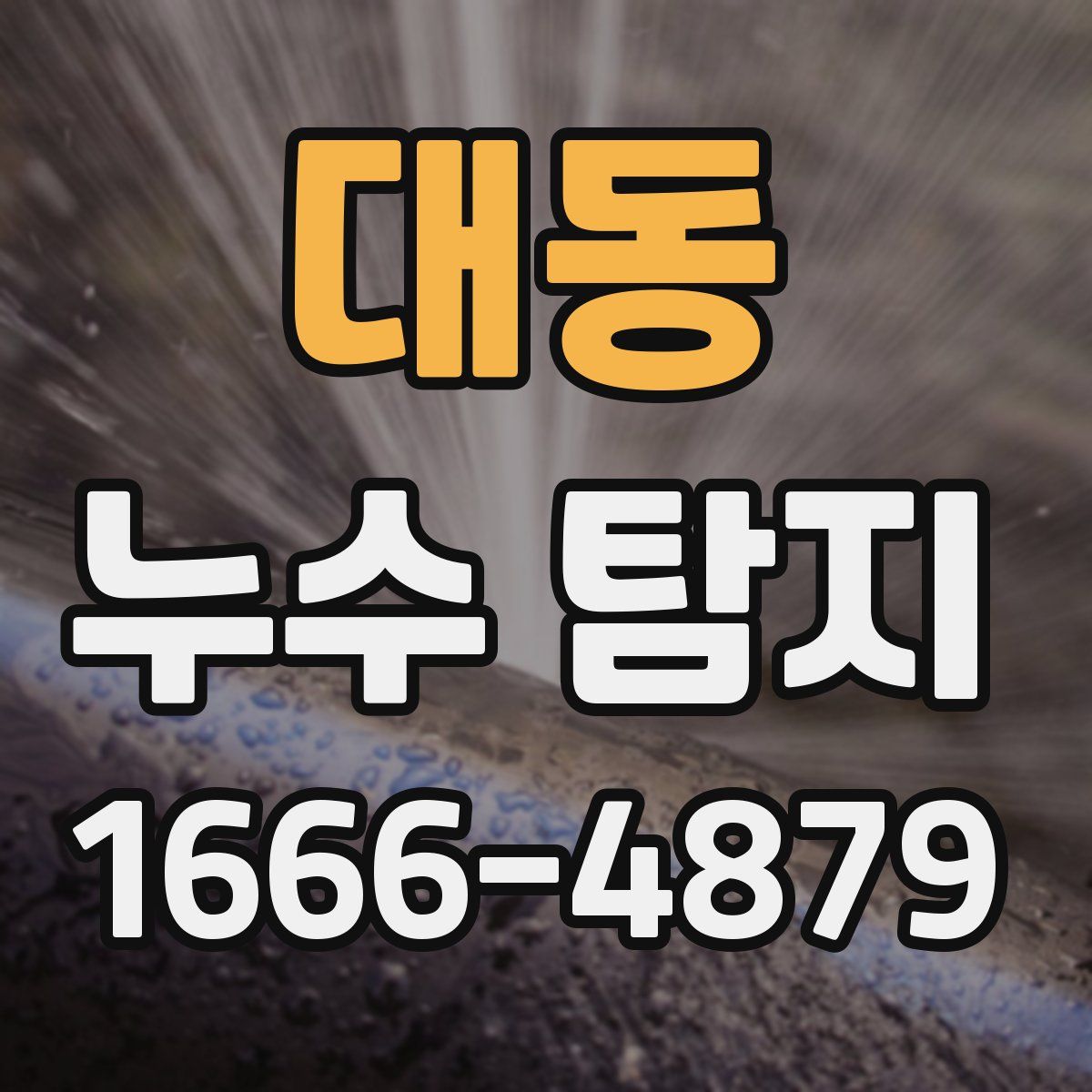 대동 누수 탐지