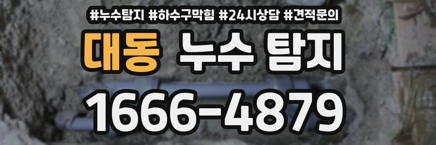 대동 누수 탐지