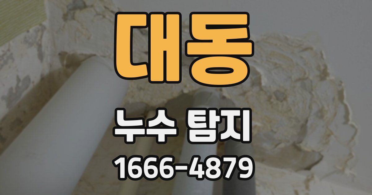대동 누수 탐지