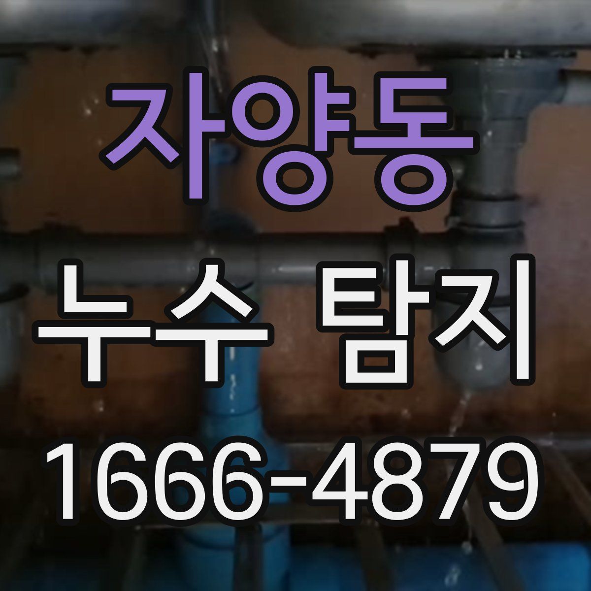 자양동 누수 탐지