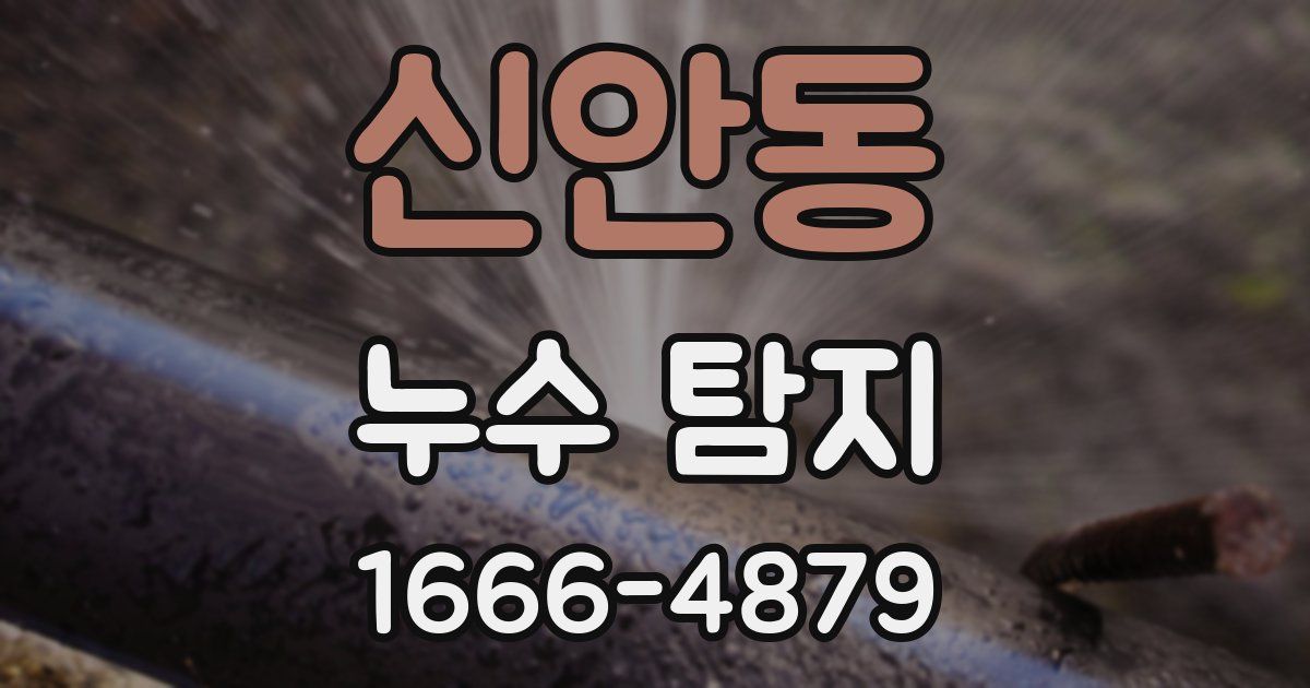 신안동 누수 탐지