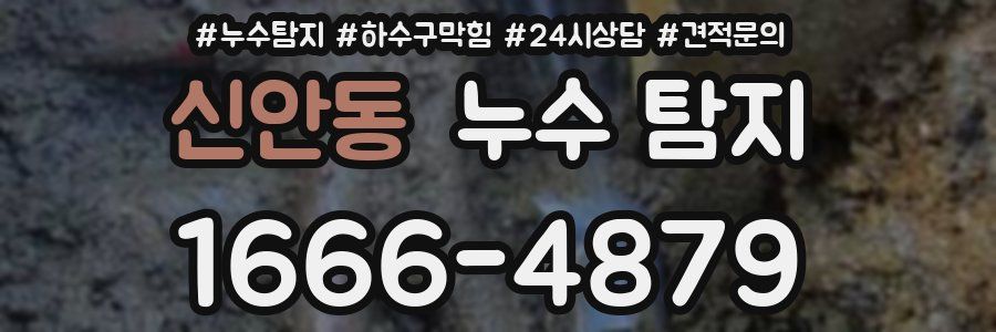 신안동 누수 탐지
