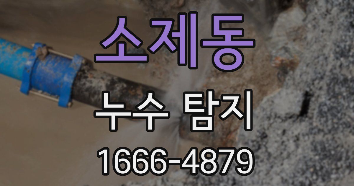 소제동 누수 탐지