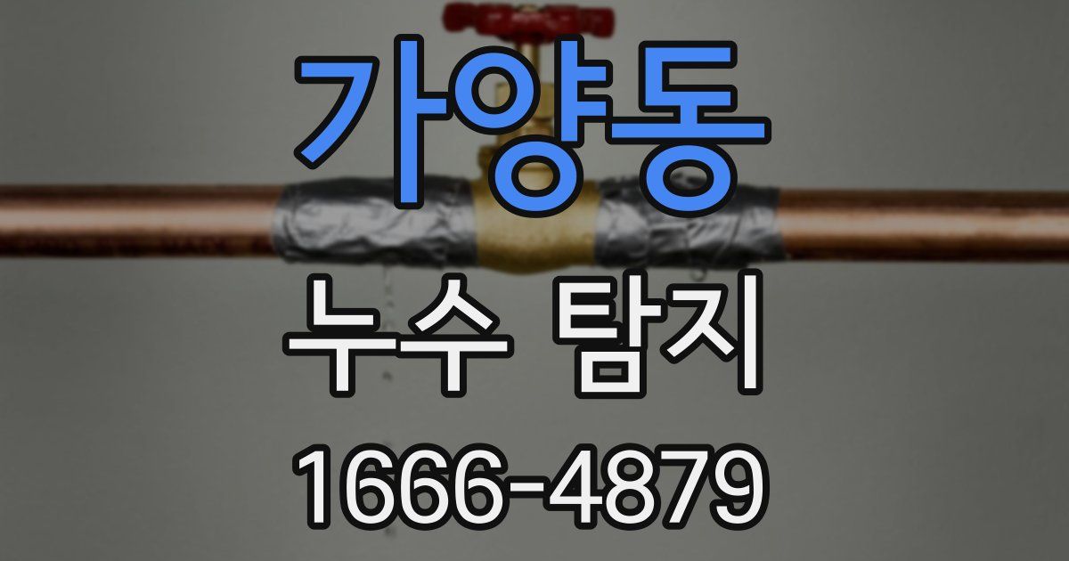 가양동 누수 탐지