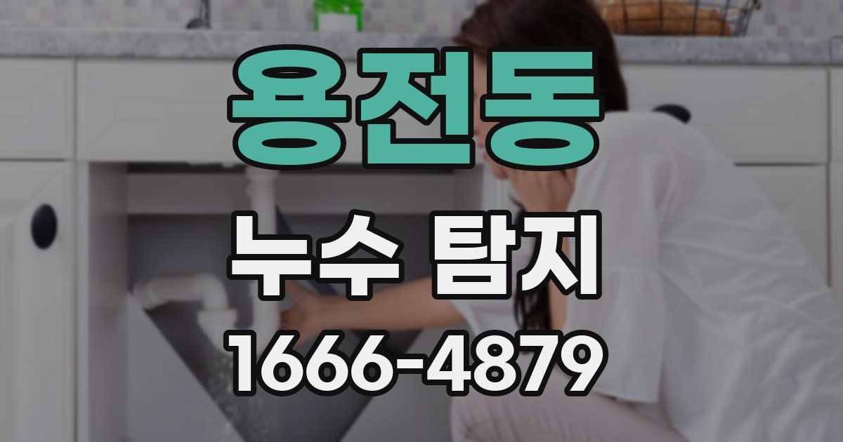 용전동 누수 탐지