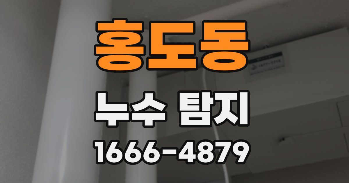 홍도동 누수 탐지