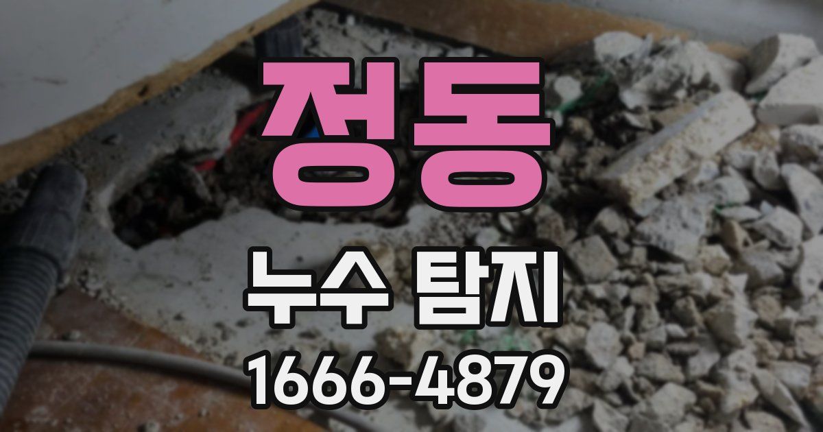 정동 누수 탐지