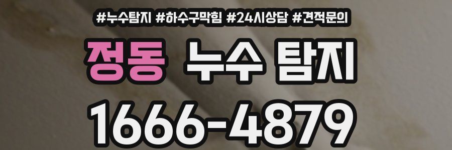 정동 누수 탐지