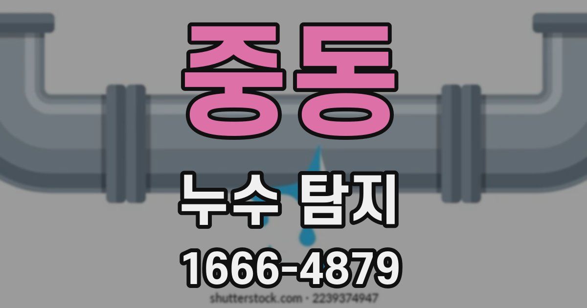 중동 누수 탐지