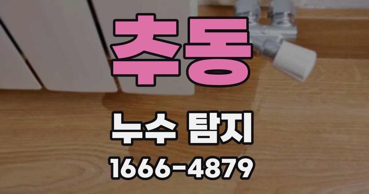 추동 누수 탐지