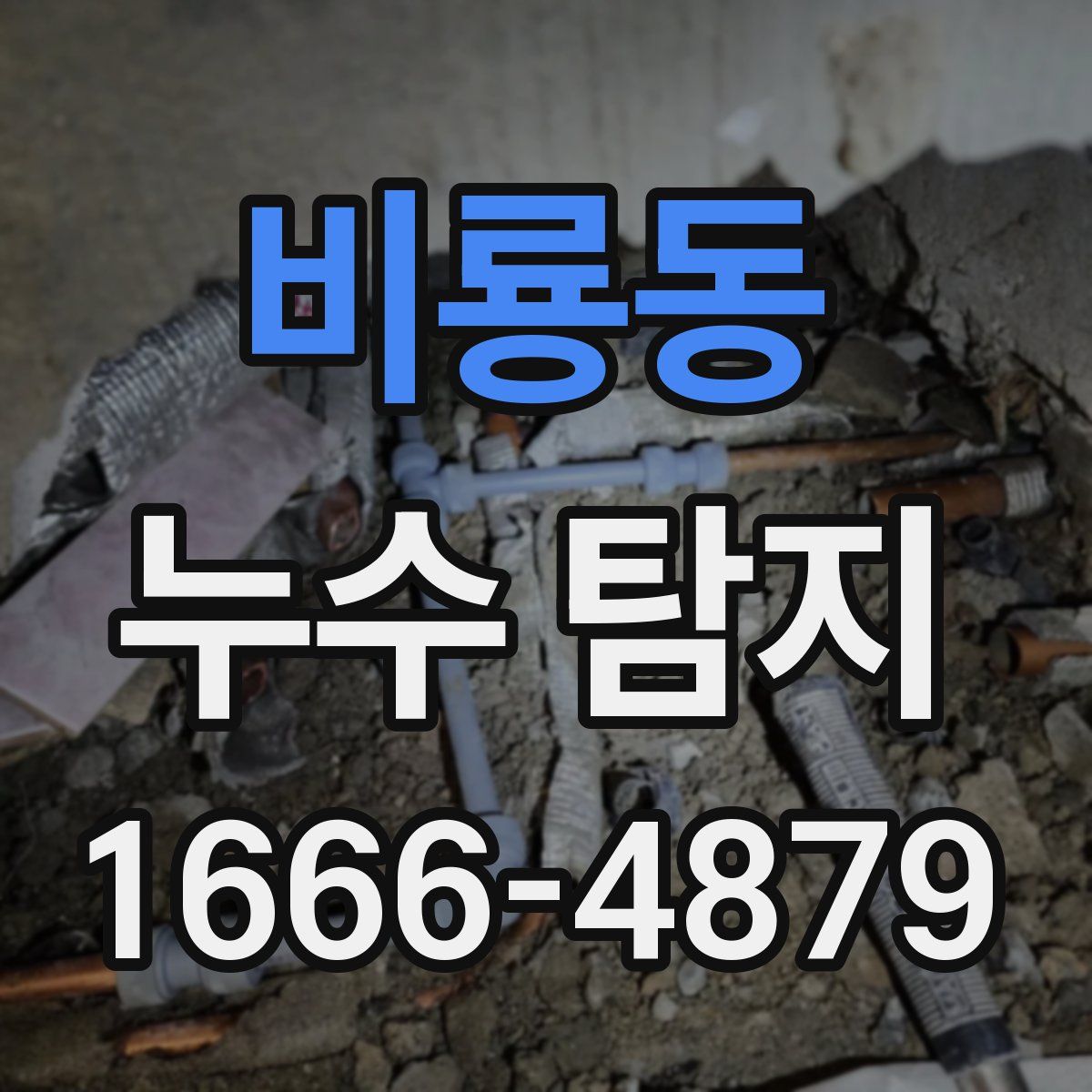 비룡동 누수 탐지