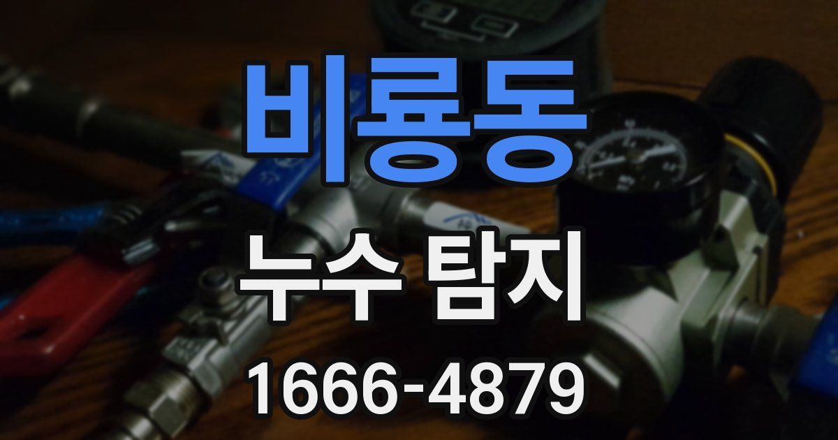 비룡동 누수 탐지