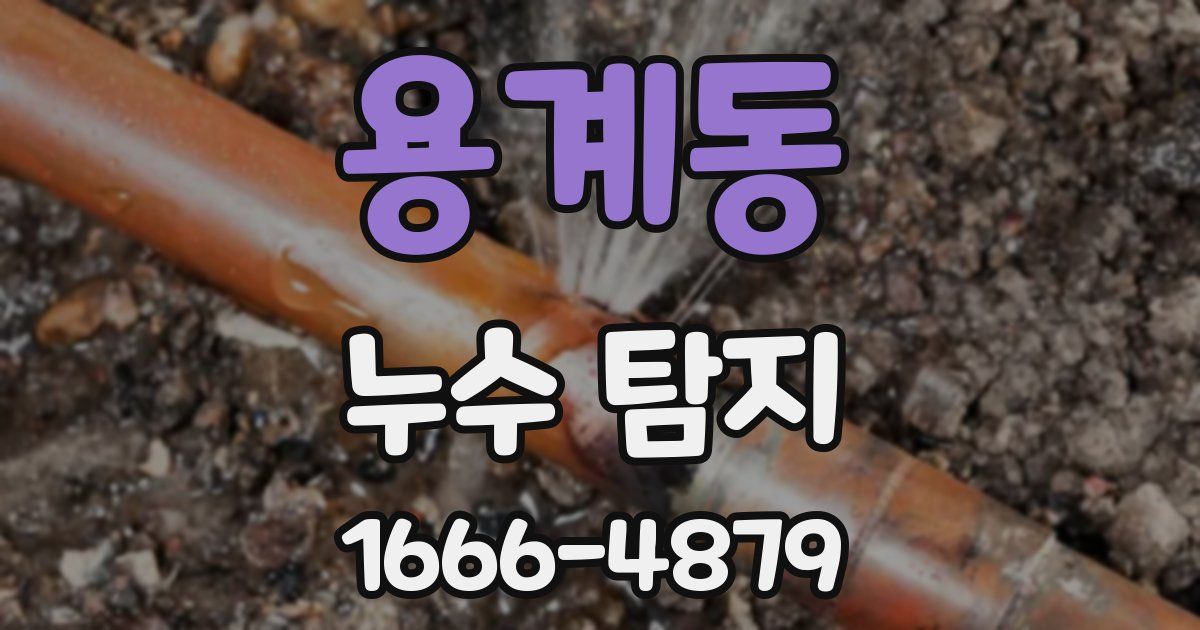 용계동 누수 탐지