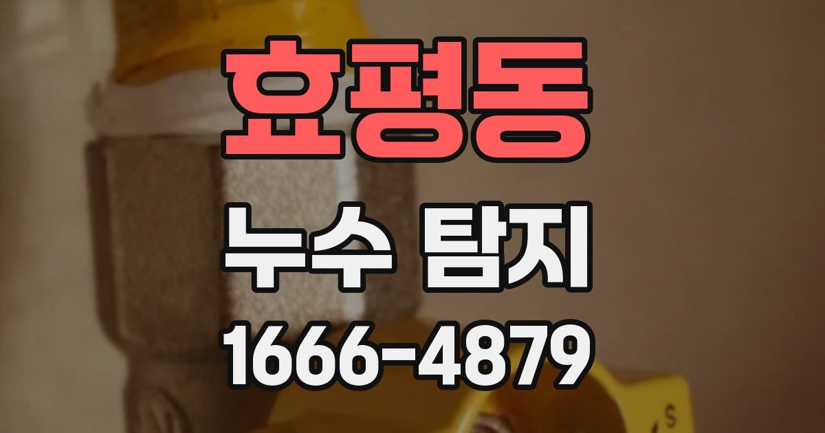 효평동 누수 탐지
