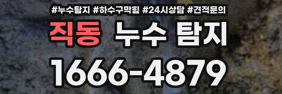 직동 누수 탐지