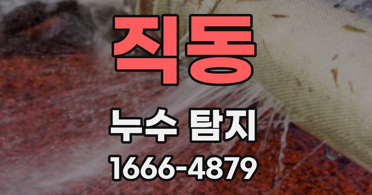 직동 누수 탐지