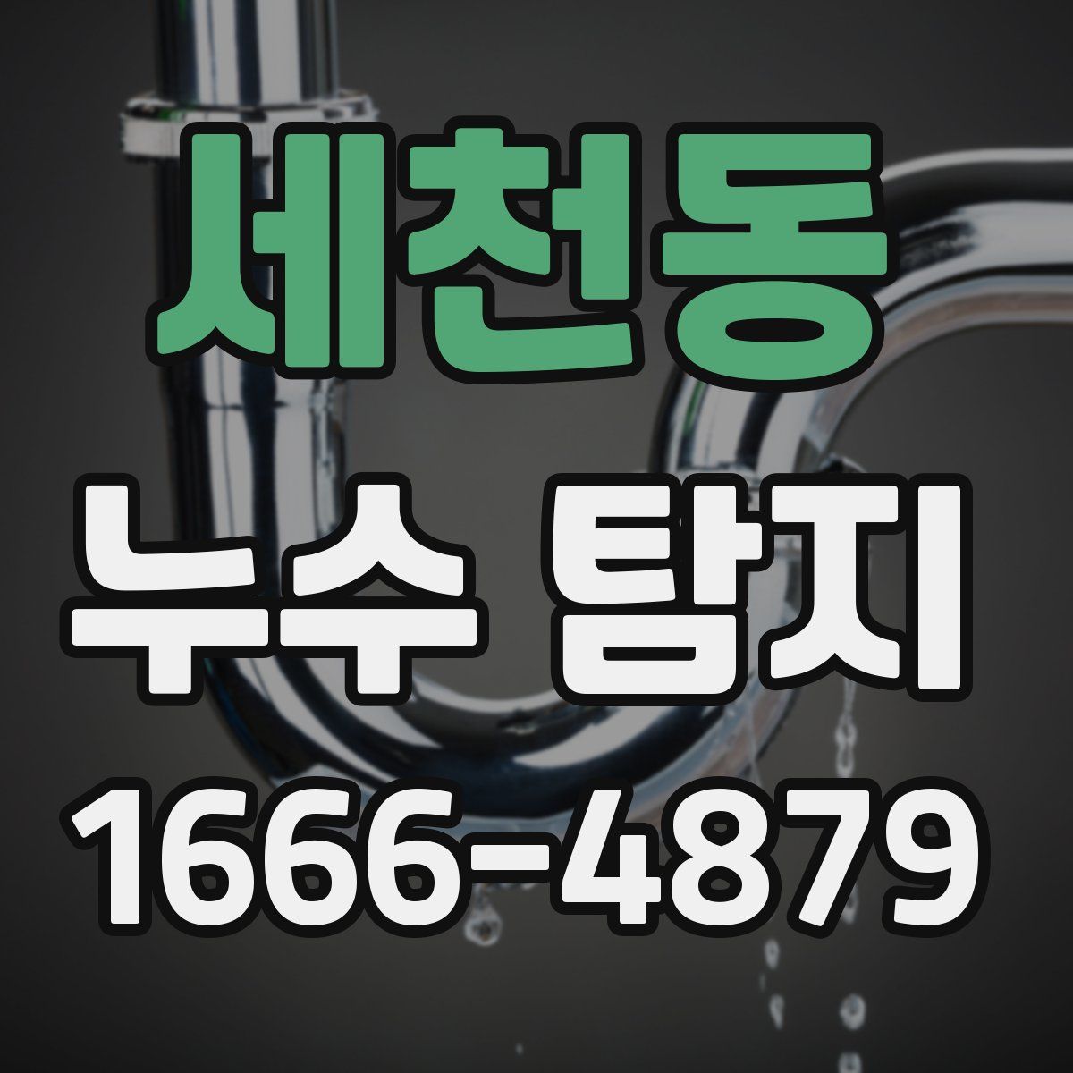 세천동 누수 탐지
