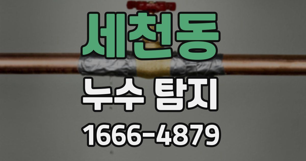 세천동 누수 탐지