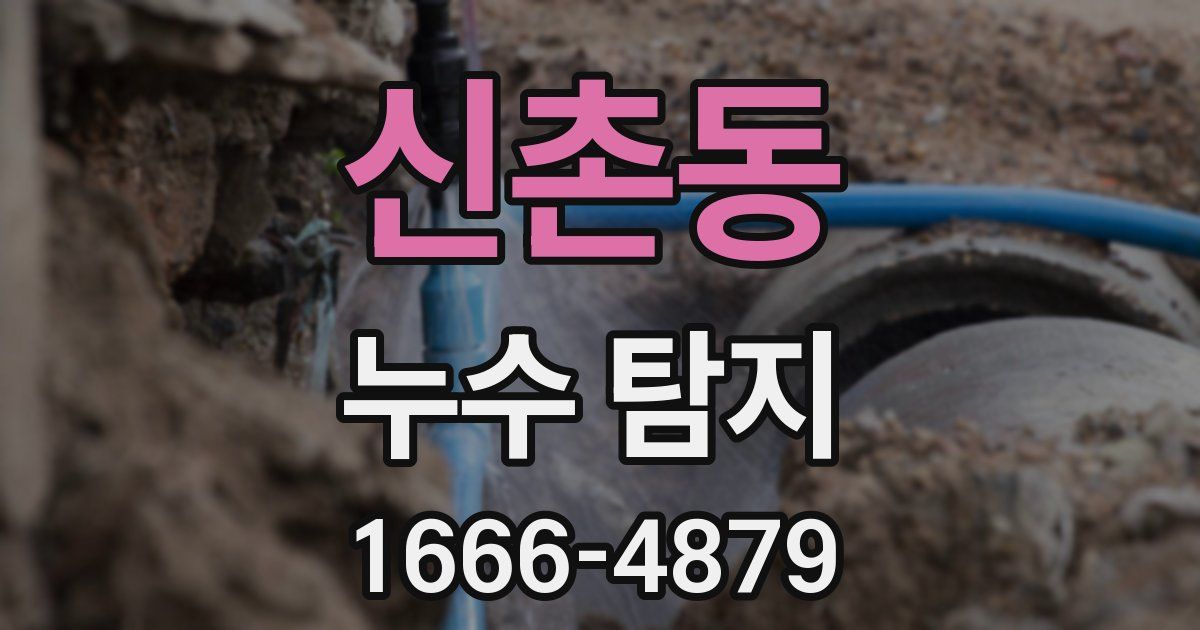 신촌동 누수 탐지