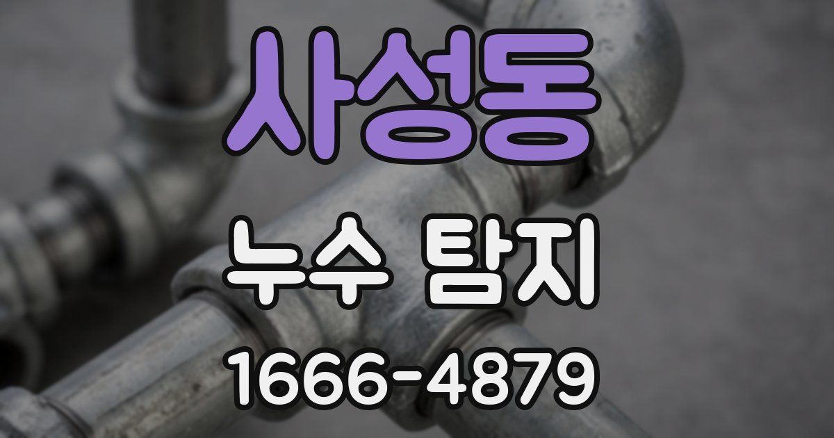 사성동 누수 탐지