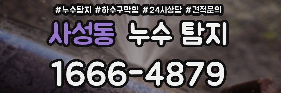 사성동 누수 탐지