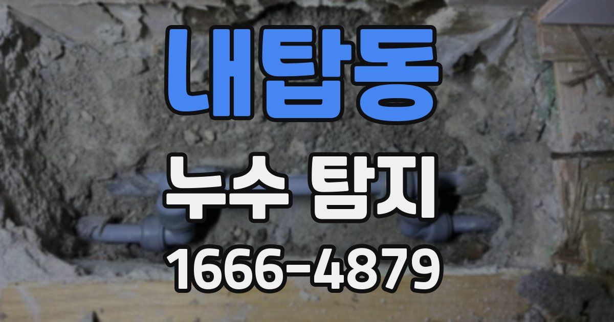 내탑동 누수 탐지
