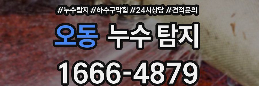 오동 누수 탐지