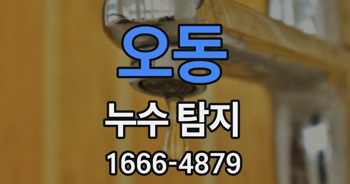 오동 누수 탐지