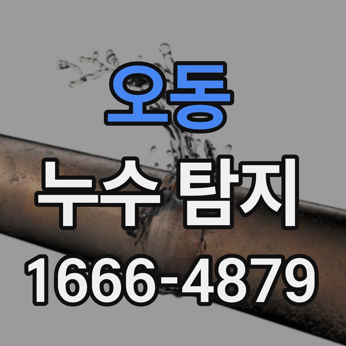 오동 누수 탐지