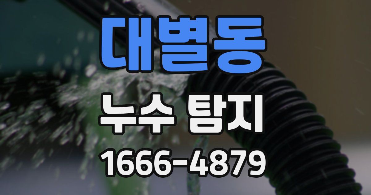 대별동 누수 탐지