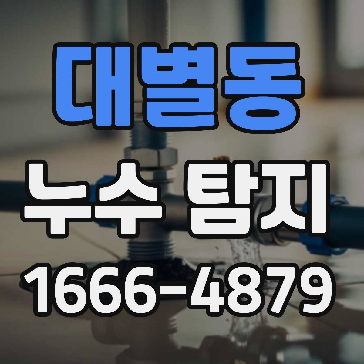 대별동 누수 탐지