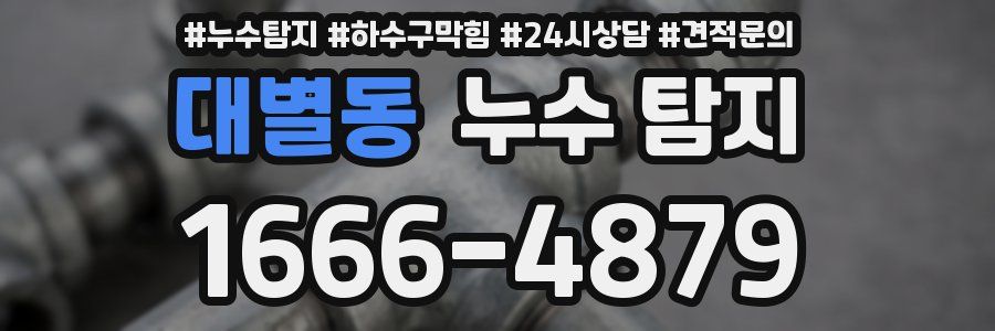 대별동 누수 탐지