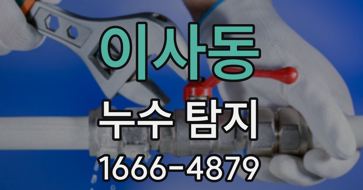 이사동 누수 탐지