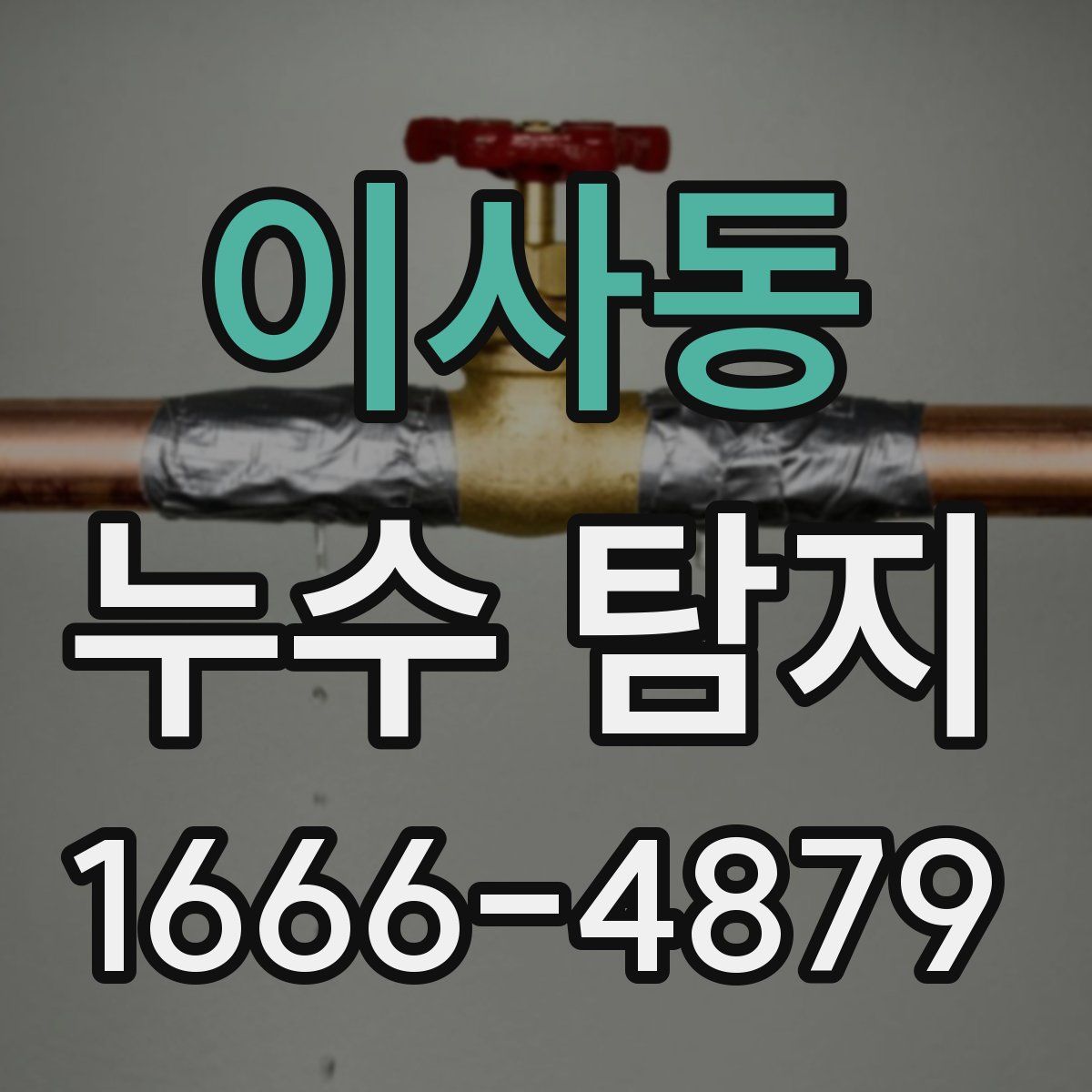 이사동 누수 탐지