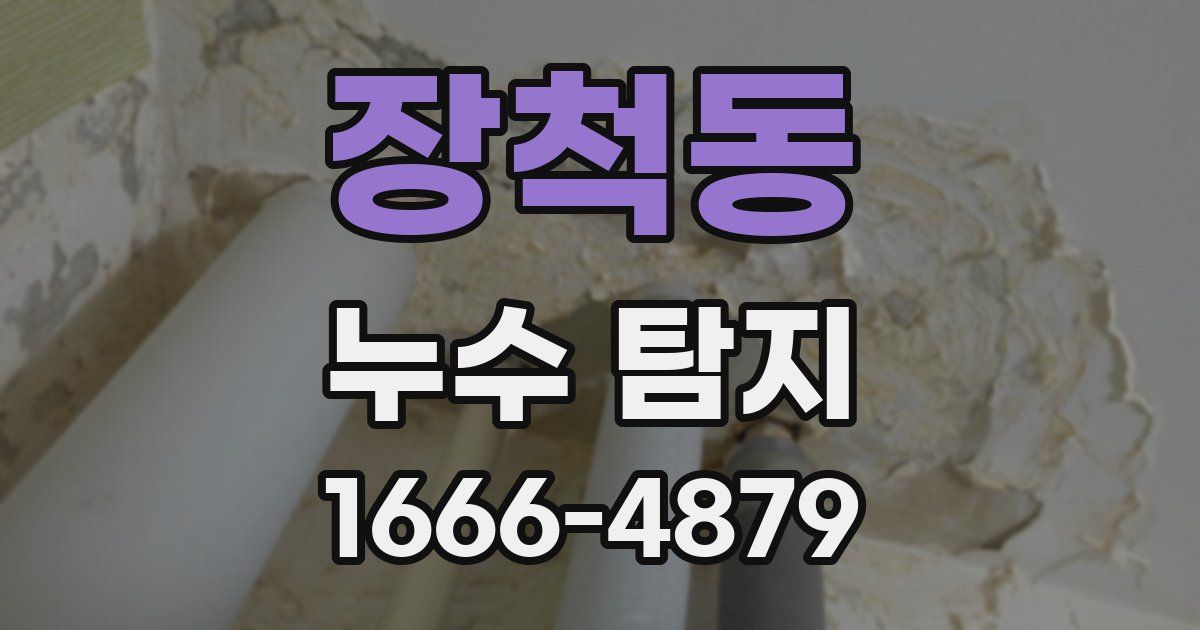 장척동 누수 탐지