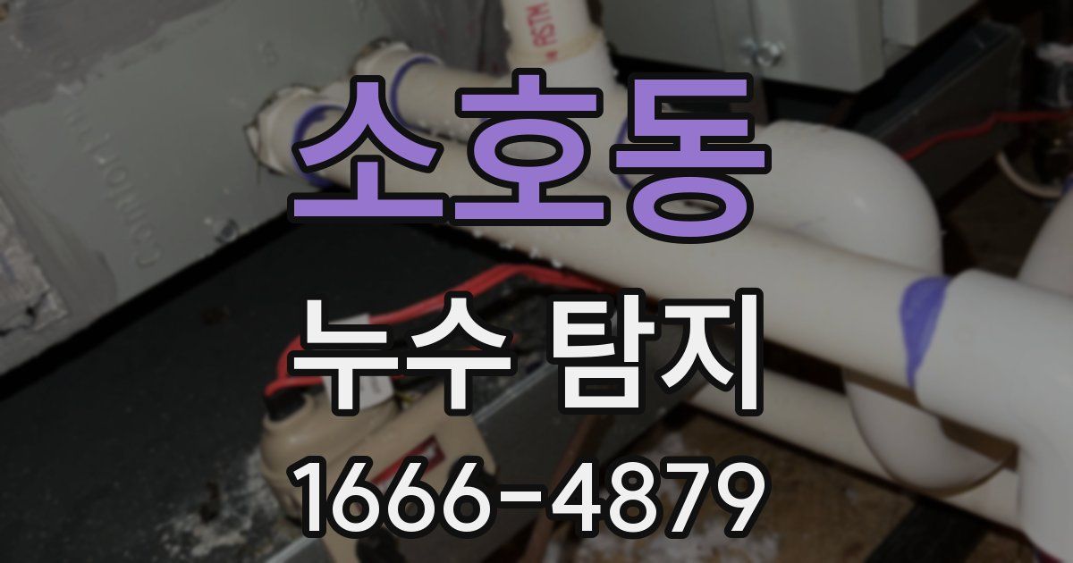 소호동 누수 탐지